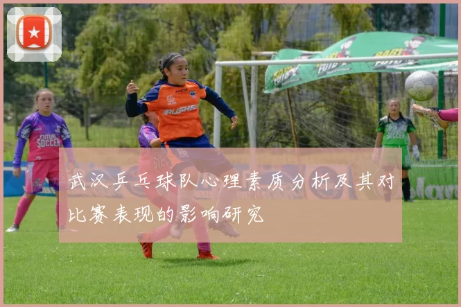 武汉乒乓球队心理素质分析及其对比赛表现的影响研究