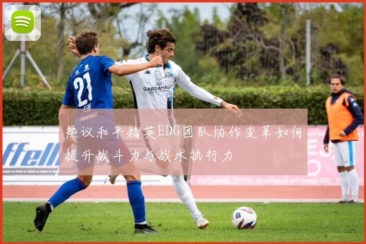 热议和平精英EDG团队协作变革如何提升战斗力与战术执行力