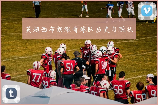 英超西布朗维奇球队历史与现状