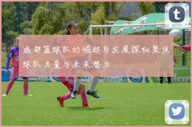 成都篮球队的崛起与发展探秘聚焦球队力量与未来潜力