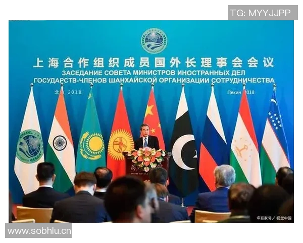 以联盟为核心探索全球合作新模式推动国际互利共赢发展路径